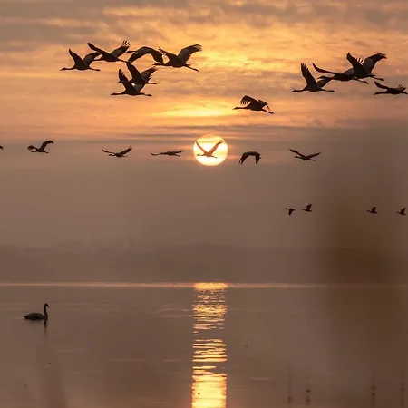 Luxus Loft Am Mueritzufer 公寓