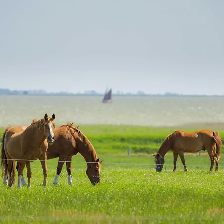 公寓 Luxus Loft Am Mueritzufer Sietow Dorf