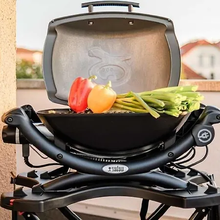 Luxus Loft Am Mueritzufer 公寓 *