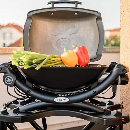 Luxus Loft Am Mueritzufer 公寓 *